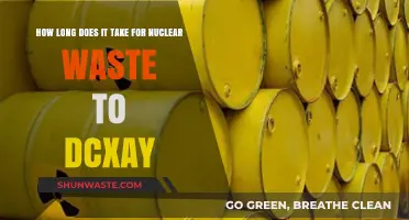 Understanding Nuclear Waste Decay: Timeframes and Environmental Impact Explained