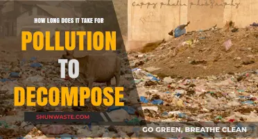 The Decomposition of Pollution: Understanding the Timeline