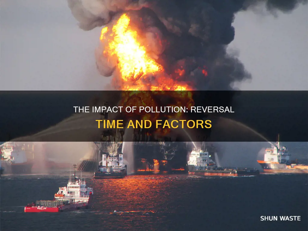 how long does it take for pollution to go away