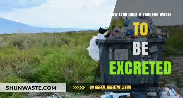Waste Excretion Timeline: Understanding Digestion to Elimination Process