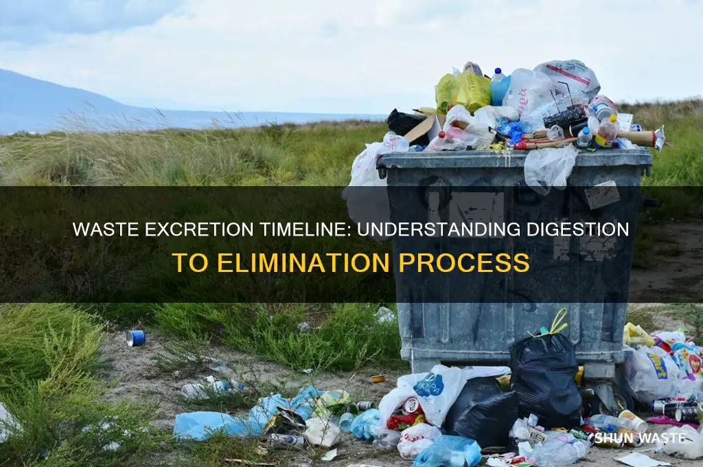 how long does it take for waste to be excreted