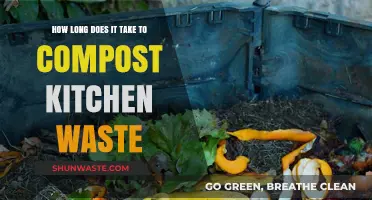Composting Kitchen Waste: Understanding the Timeframe for Eco-Friendly Decomposition