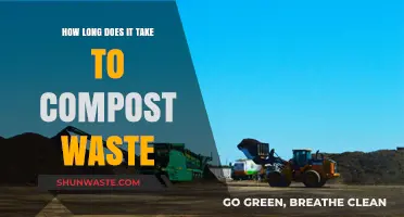 Composting Timeline: How Long Does Waste Decompose Effectively?