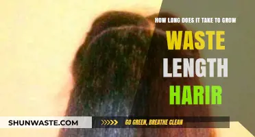 Growing Waist-Length Hair: Timeframe, Tips, and Patience Required