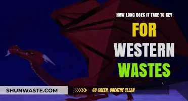 Unlocking Western Wastes: Keying Timeframe Explained for Efficient Access