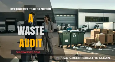 Waste Audit Timeline: Understanding the Time Commitment for Effective Audits
