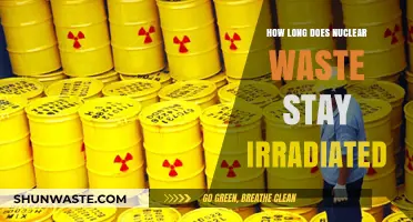 Understanding the Long-Term Irradiation of Nuclear Waste: A Comprehensive Guide