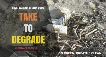 Plastic's Persistent Problem: Understanding the Slow Degradation Process