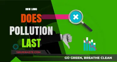 The Lingering Effects of Pollution: How Long Does It Last?