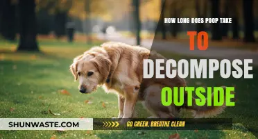 How Long Does Poop Decompose Outside: A Breakdown of Factors