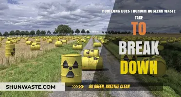Thorium Nuclear Waste Decay: Understanding Its Breakdown Timeline and Safety