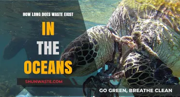 Ocean Waste Lifespan: How Long Does Trash Pollute Our Seas?