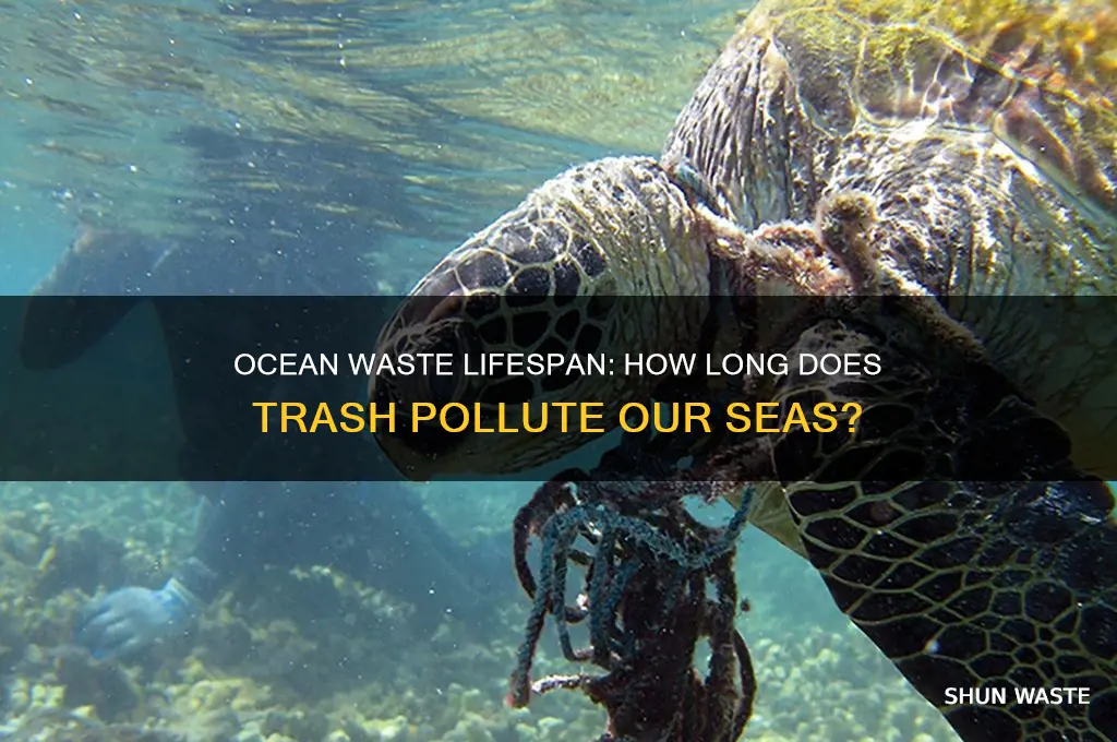 how long does waste exist in the oceans