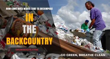 Decomposition Timeline: How Long Does Backcountry Waste Break Down?