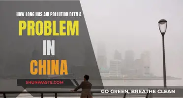 Air Pollution's Long History in China
