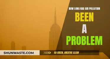 Air Pollution: A Historical Problem?