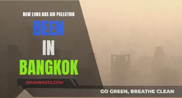 Bangkok's Air Pollution: A Historical Perspective