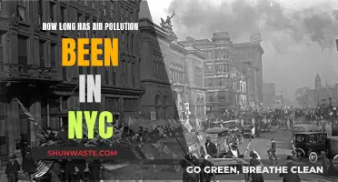 Air Pollution in NYC: A Historical Perspective