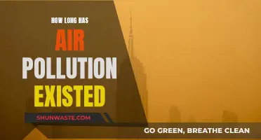 Air Pollution: A Historical Perspective on Our Toxic Air