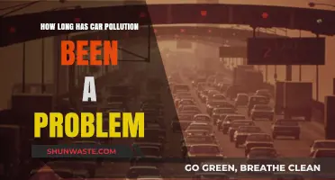 Car Pollution: A Historical Problem and Its Legacy