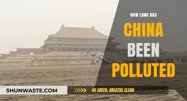 China's Pollution Problem: A Historical Perspective