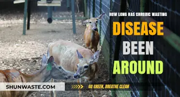 Uncovering the Timeline of Chronic Wasting Disease's Existence