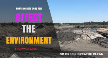 Coal Ash's Environmental Impact: A Long-Standing Ecological Crisis Unveiled
