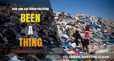 Fashion's Pollution Problem: A Historical Perspective