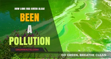 Green Algae Pollution: A Historical Perspective
