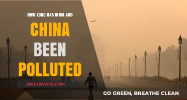 The Pollution History of India and China