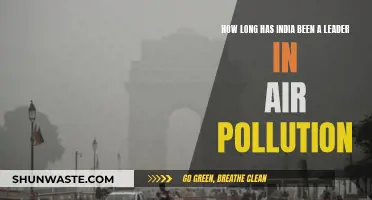 India's Air Pollution Leadership: A Historical Perspective