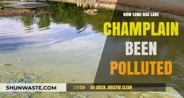 Lake Champlain's Pollution: A Historical Perspective