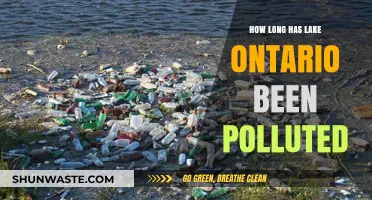 The Troubled History of Lake Ontario's Pollution
