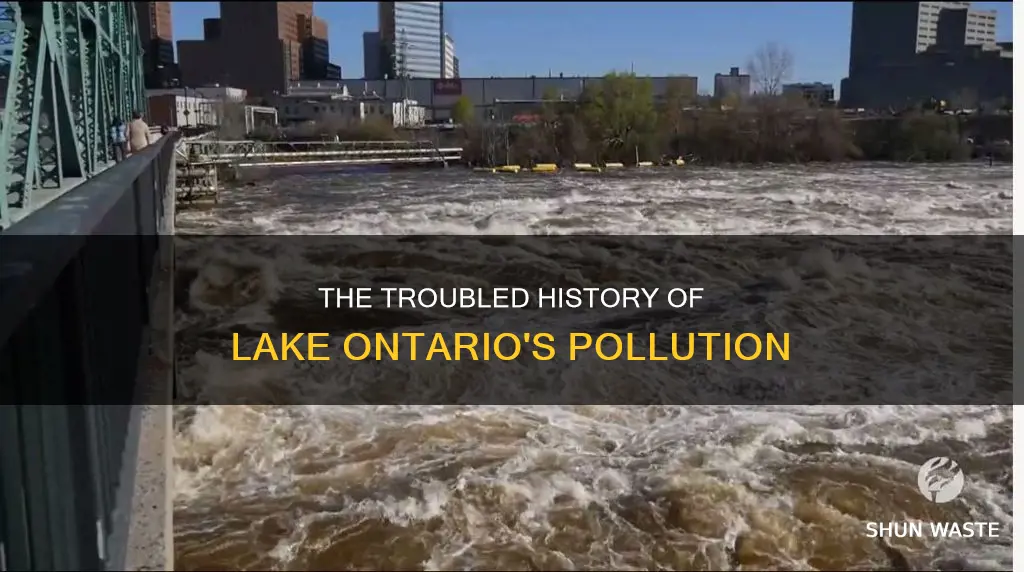 how long has lake ontario been polluted
