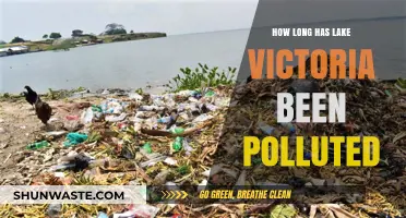 Lake Victoria's Pollution: A Historical Perspective