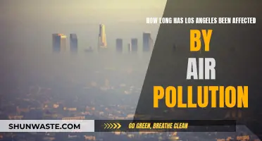 Los Angeles' Long-Standing Battle With Air Pollution