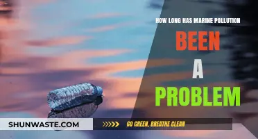 The Troubling History of Marine Pollution