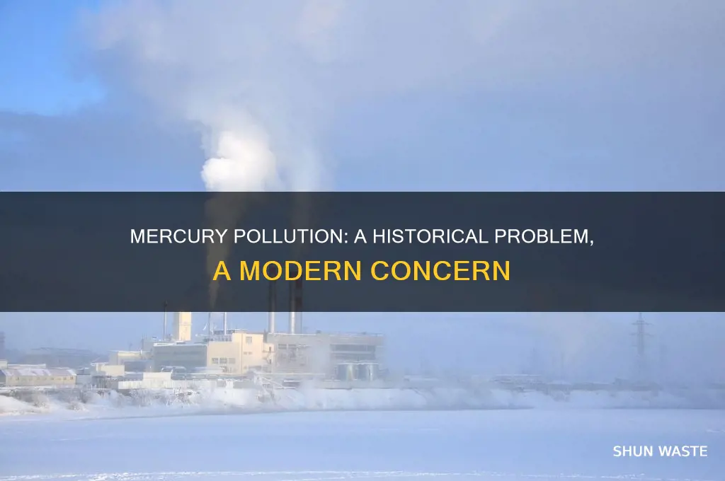 how long has mercury pollution been a problem