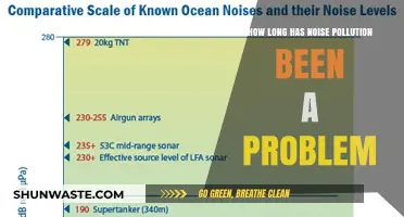 Noise Pollution: A Historical Problem