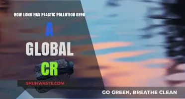 The Plastic Pollution Crisis: A Global Concern for Decades