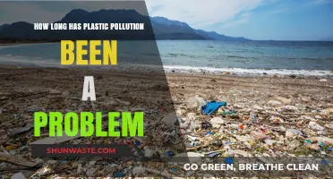Plastic Pollution: A Problem Decades in the Making