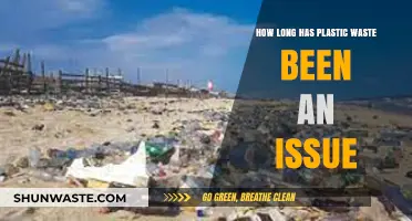 The Persistent Plastic Problem: Tracing Decades of Environmental Impact