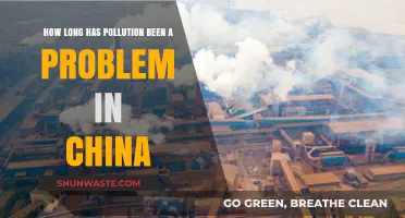 China's Pollution Problem: A Historical Perspective