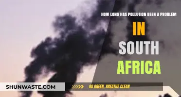 South Africa's Pollution Problem: A Historical Perspective
