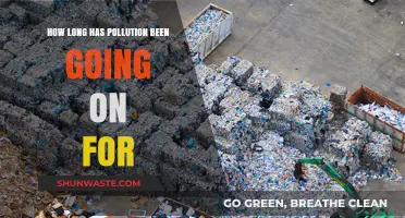 The History of Pollution: When Did It Begin?