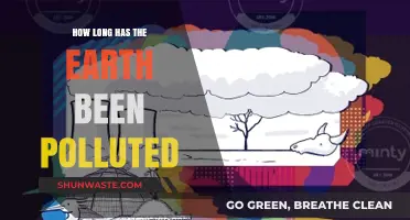 The Earth's Pollution: A Historical Perspective