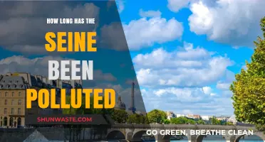 The Seine's Pollution: A Historical Perspective