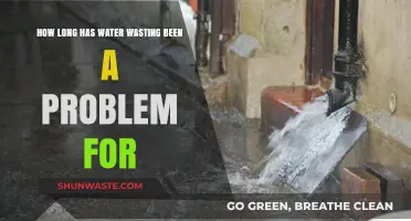 Water Wasting: A Persistent Global Crisis Throughout Human History