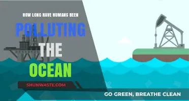 The Ocean's Pollution History: A Human-Made Tragedy