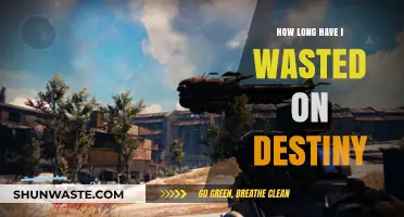 Reflecting on Destiny: Counting Hours Lost in the Grind and Glory